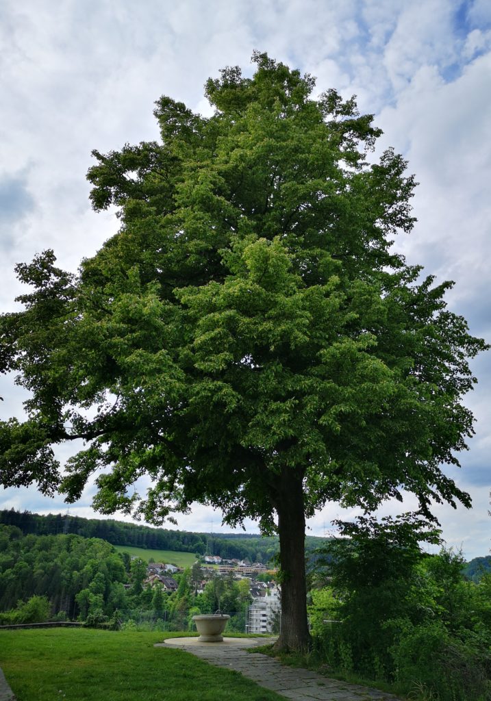 Wort und Musik 75 Jahre Frieden Ende Weltkrieg